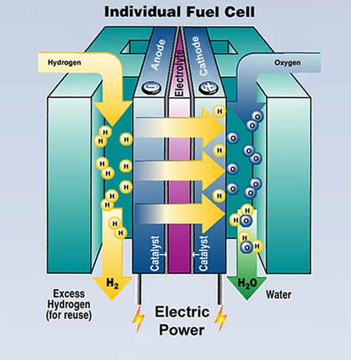 Hydrogen fuel cell